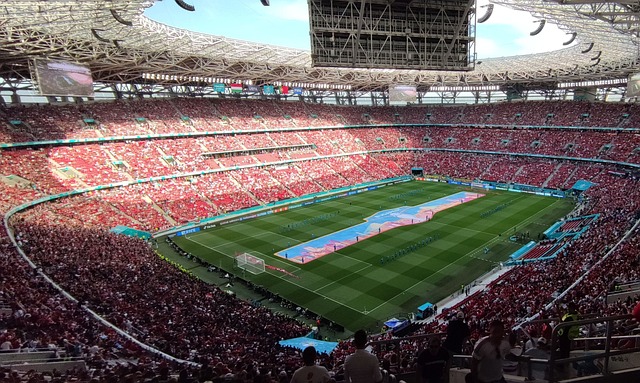 种专业的竞 种专业的竞