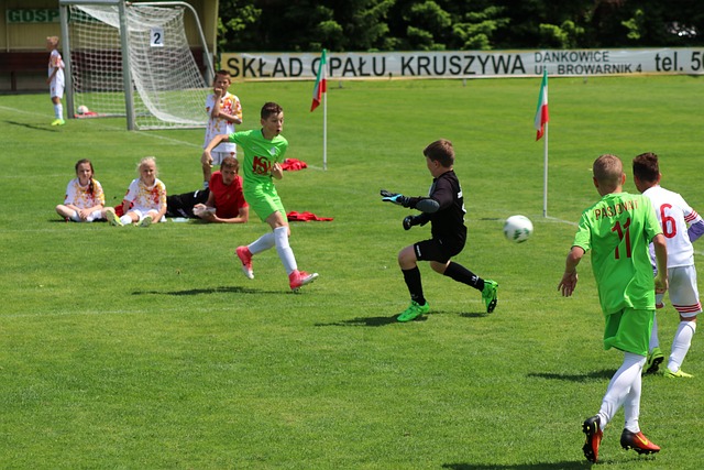 以及出色的 以及出色的