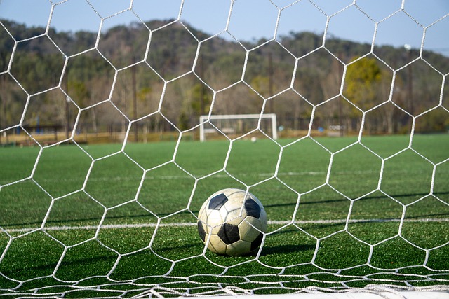 能用出色的 能用出色的