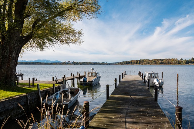 诉争取短期 诉争取短期