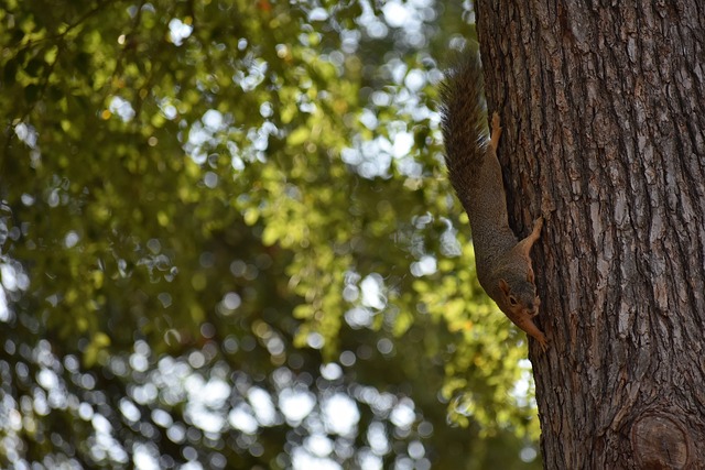 作為一位在 作為一位在